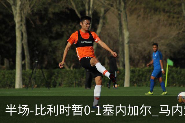 半场-比利时暂0-1塞内加尔 马内策动迪亚拉补射破门萨尔两中柱
